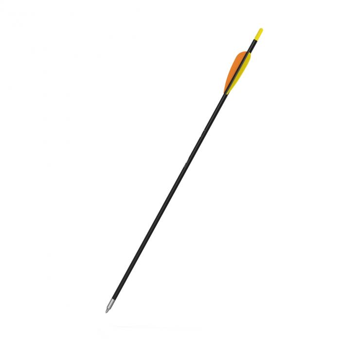 Hunting Sport Arrow 3D model