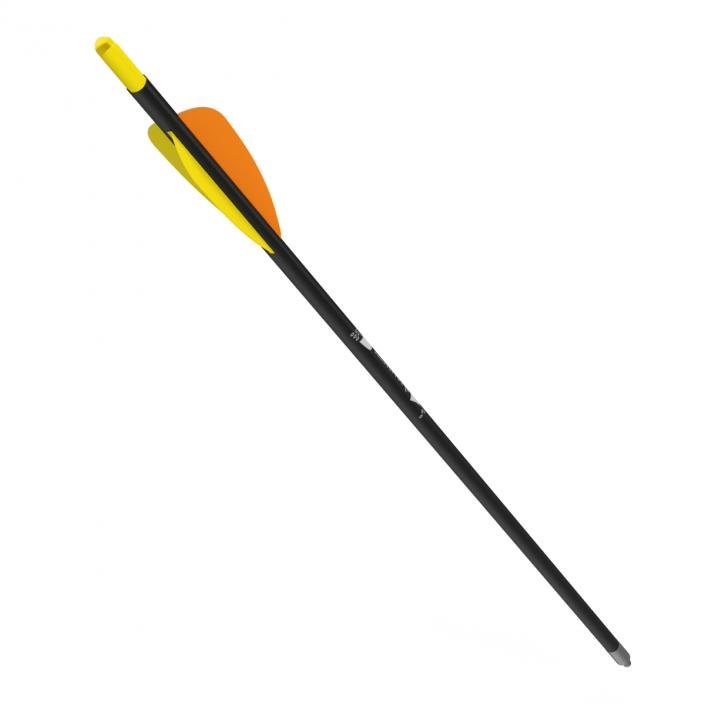 Hunting Sport Arrow 3D model