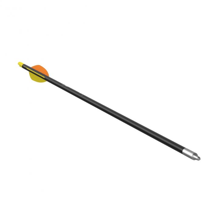 Hunting Sport Arrow 3D model