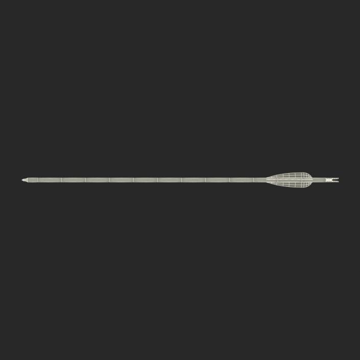 Hunting Sport Arrow 3D model