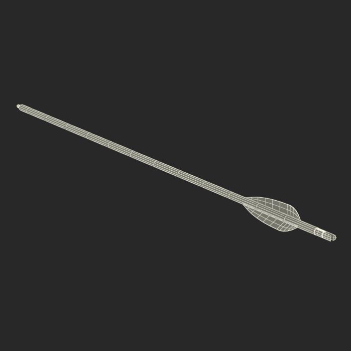 Hunting Sport Arrow 3D model