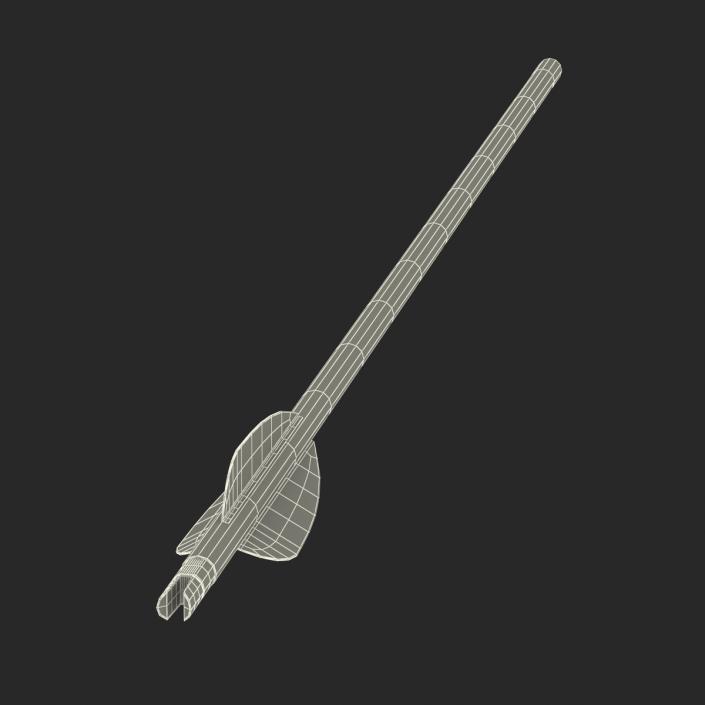 Hunting Sport Arrow 3D model