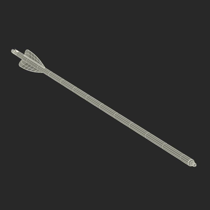 Hunting Sport Arrow 3D model