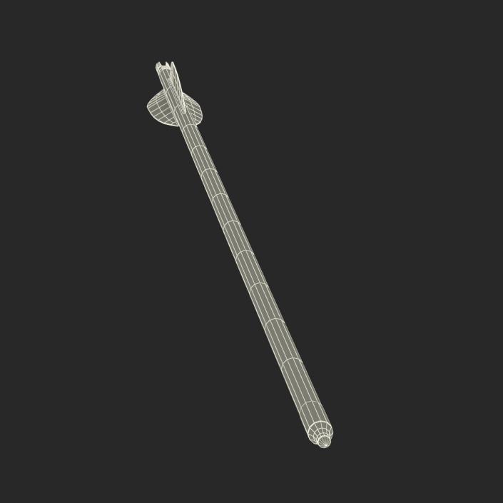 Hunting Sport Arrow 3D model