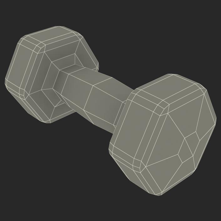 3D Dumbbell Weight 10 LB