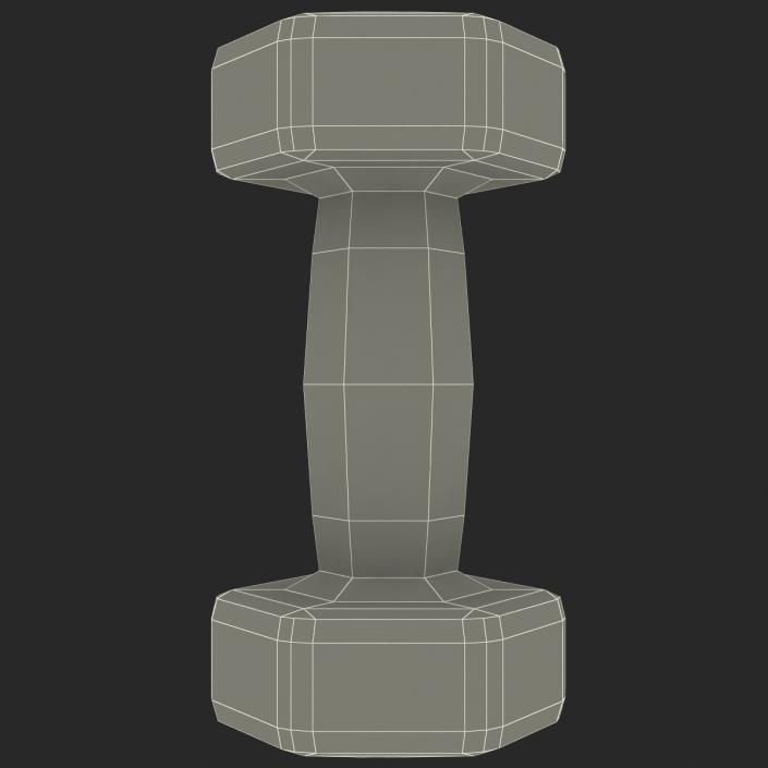 3D Dumbbell Weight 10 LB