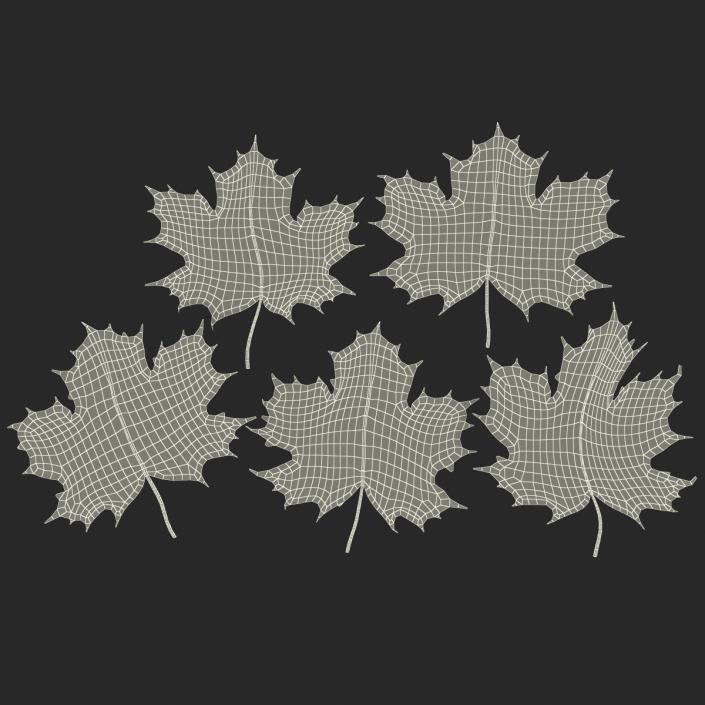 3D Green Maple Leaves model