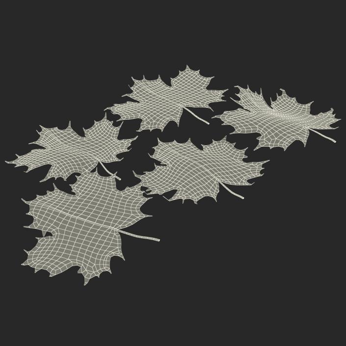 3D Green Maple Leaves model