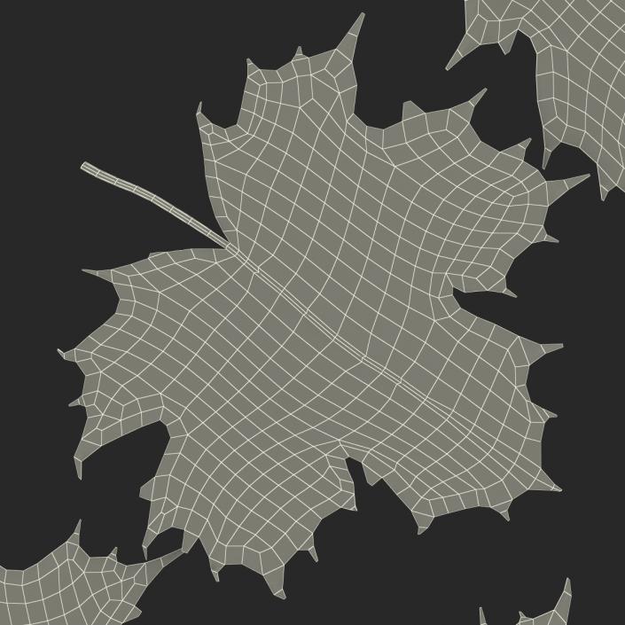 3D Green Maple Leaves model