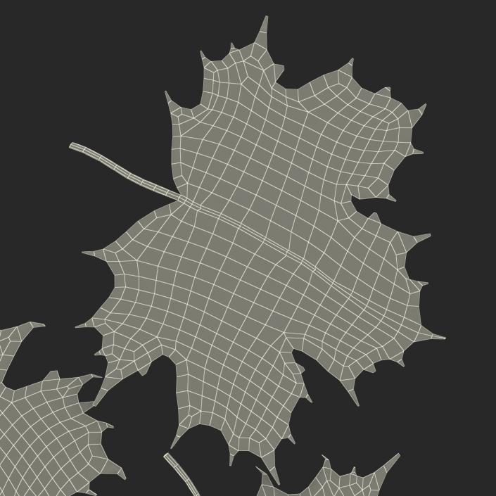 3D Green Maple Leaves model