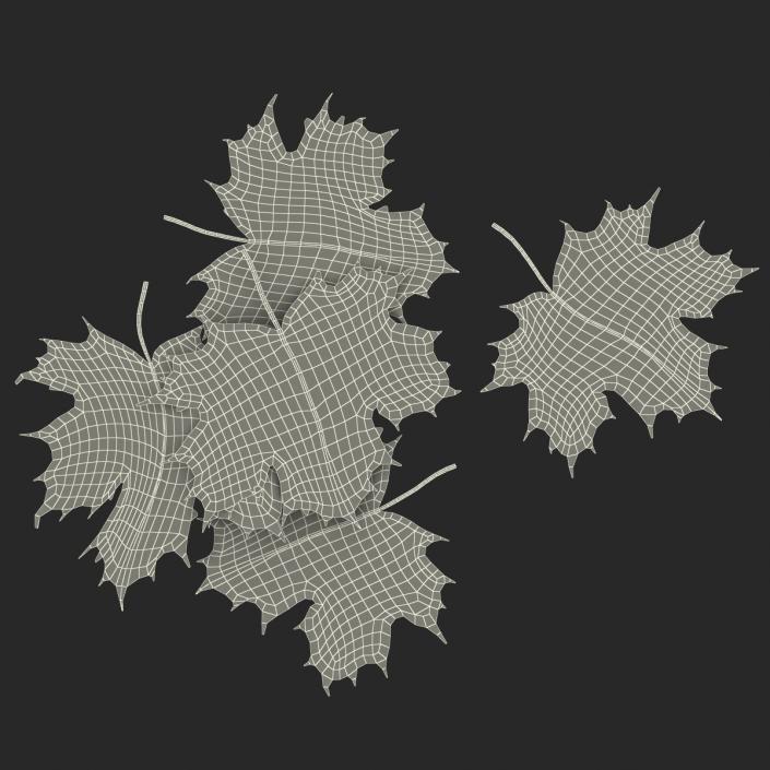 3D Green Maple Leaves model