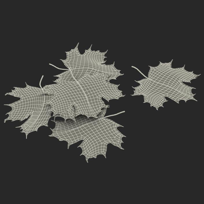 3D Green Maple Leaves model