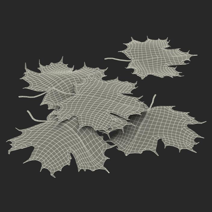 3D Green Maple Leaves model