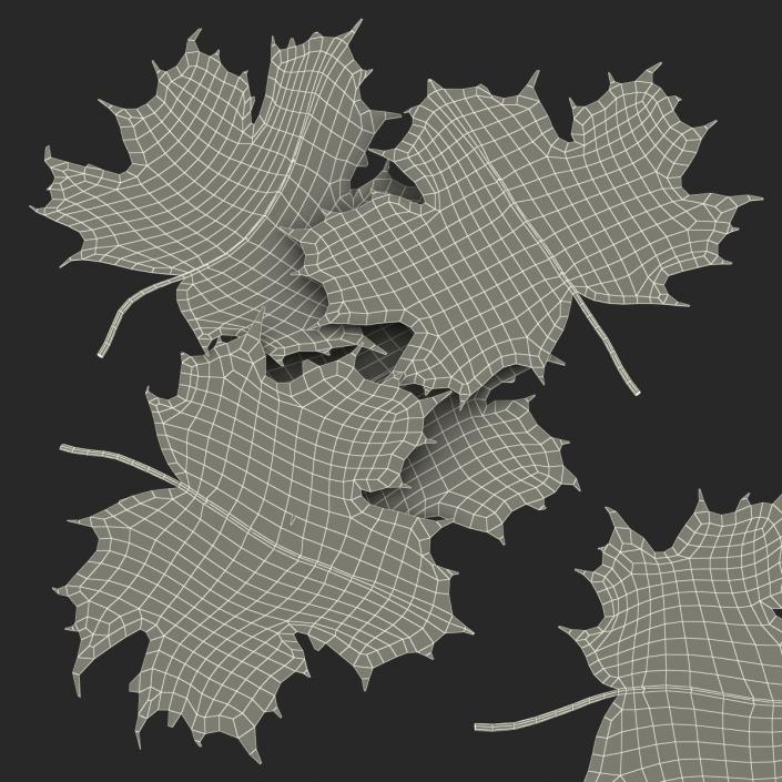 3D Green Maple Leaves model