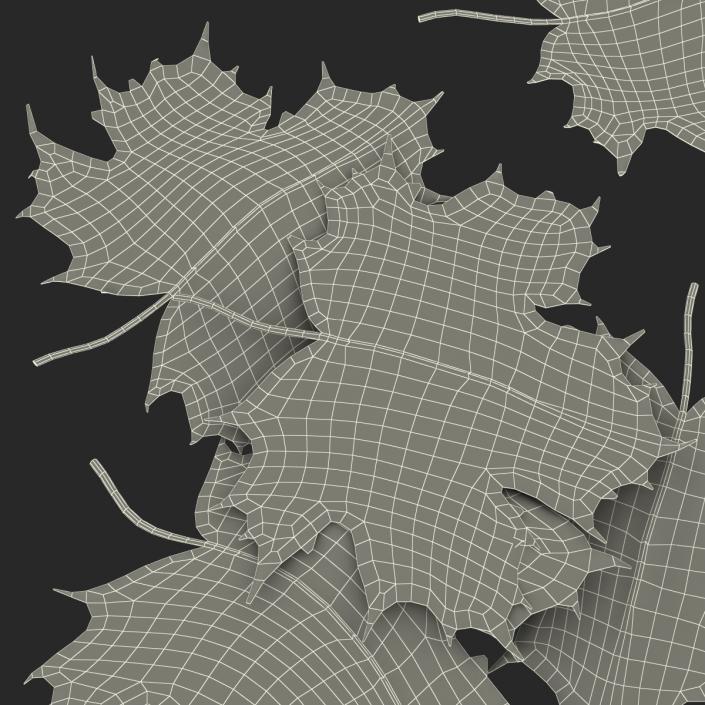 3D Green Maple Leaves model