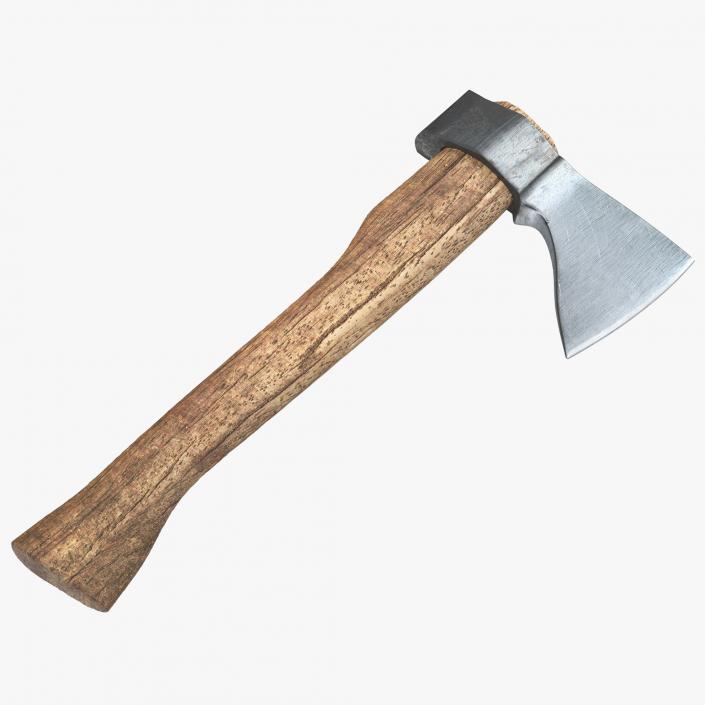 3D Old Hatchet