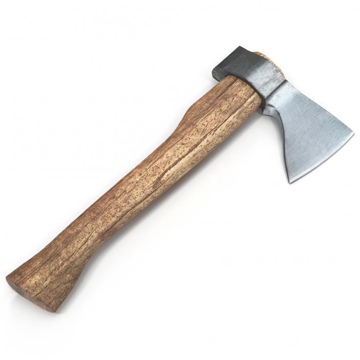 3D Old Hatchet