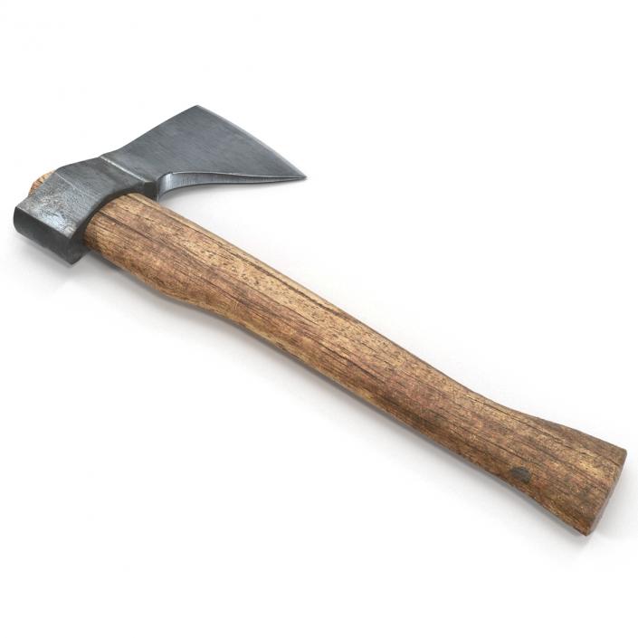 3D Old Hatchet