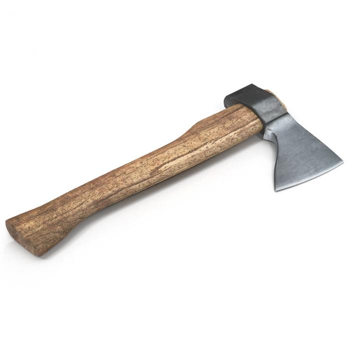 3D Old Hatchet