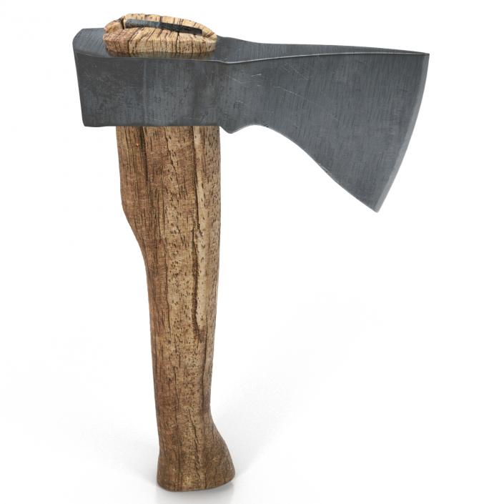 3D Old Hatchet