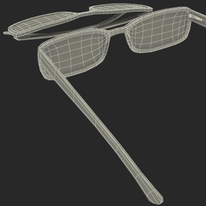 3D Glasses 5 Set model