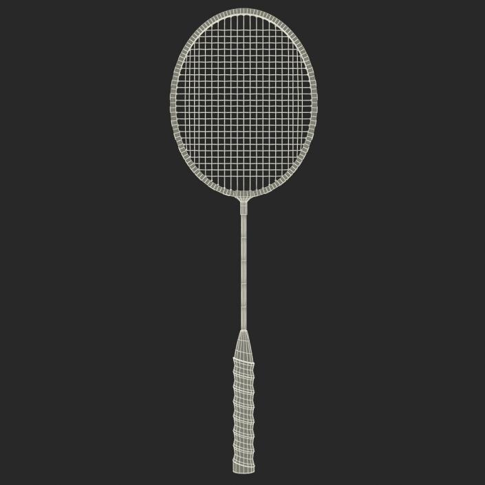 3D Badminton Racket