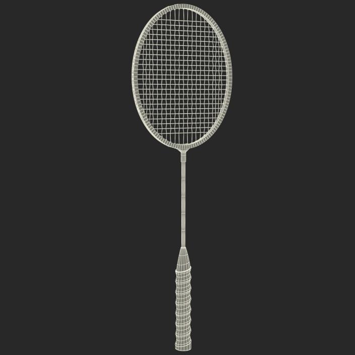 3D Badminton Racket