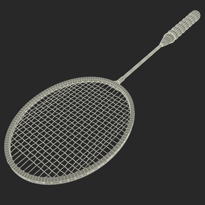 3D Badminton Racket