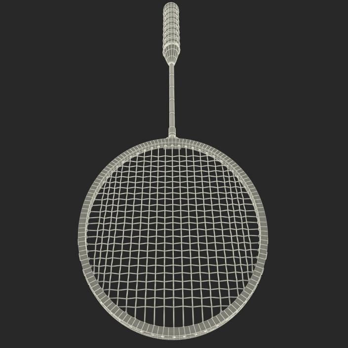 3D Badminton Racket