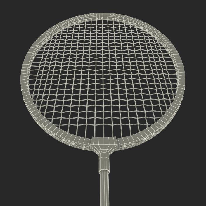 3D Badminton Racket