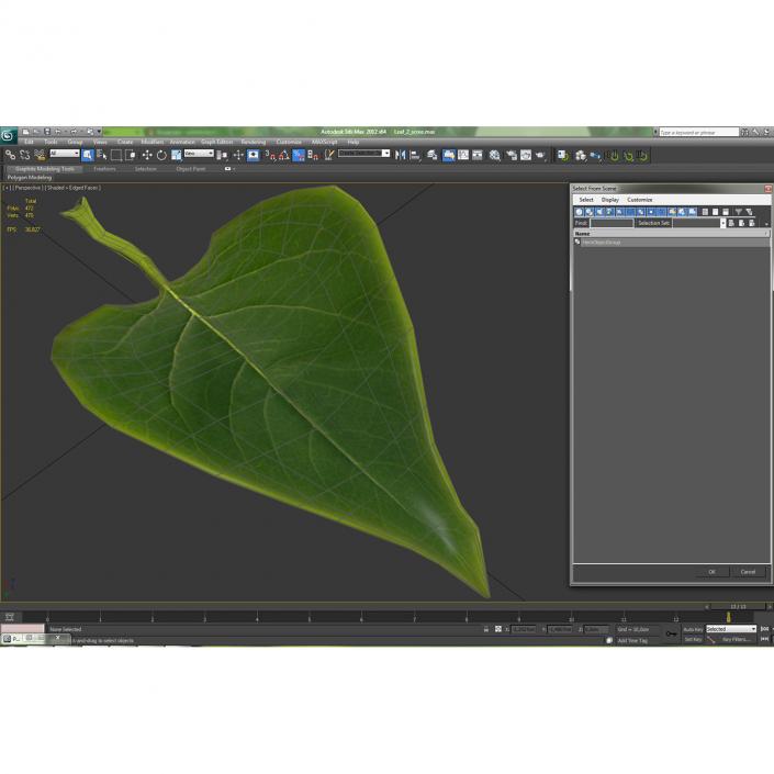 3D model Leaf 2