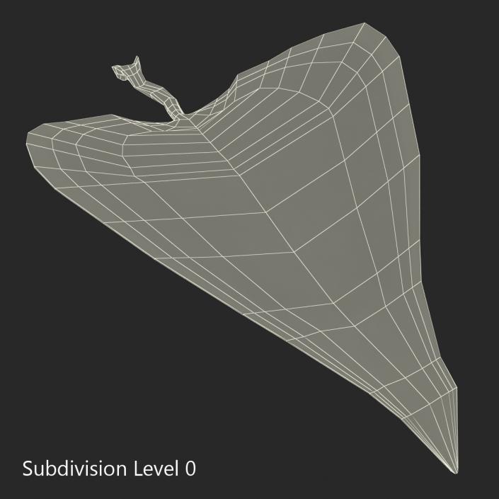 3D model Leaf 2