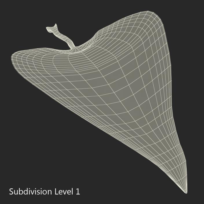 3D model Leaf 2