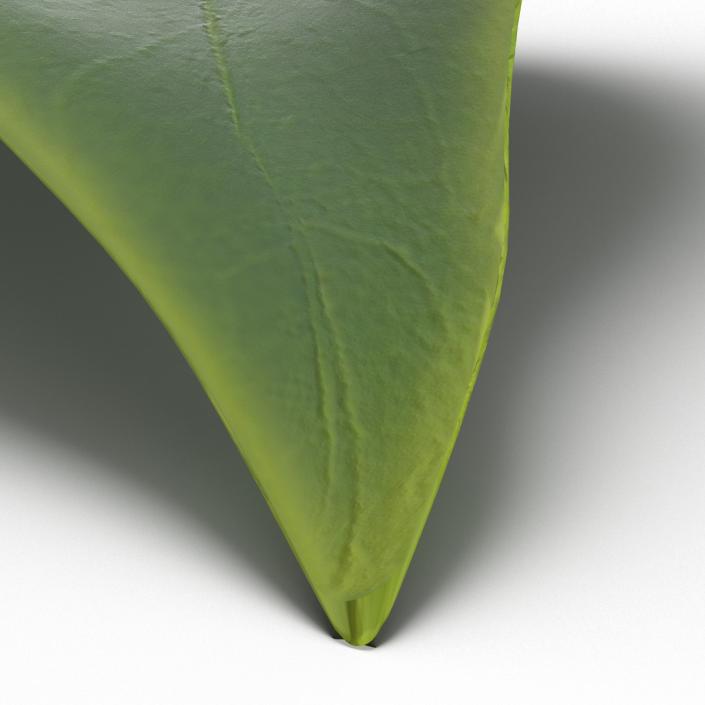 3D model Leaf 2