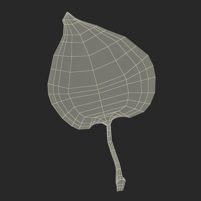 3D model Leaf 2