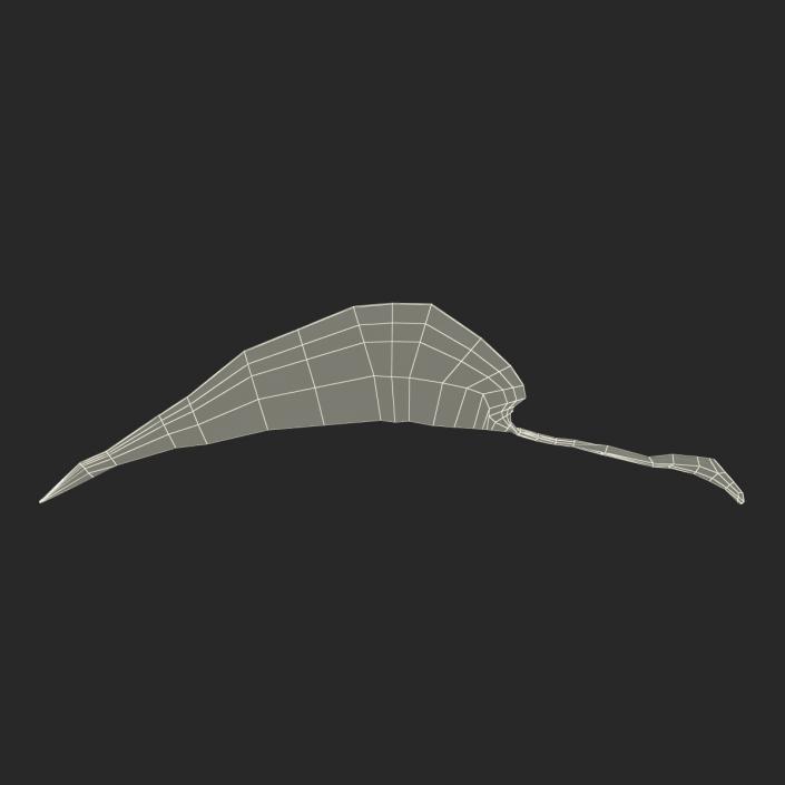 3D model Leaf 2