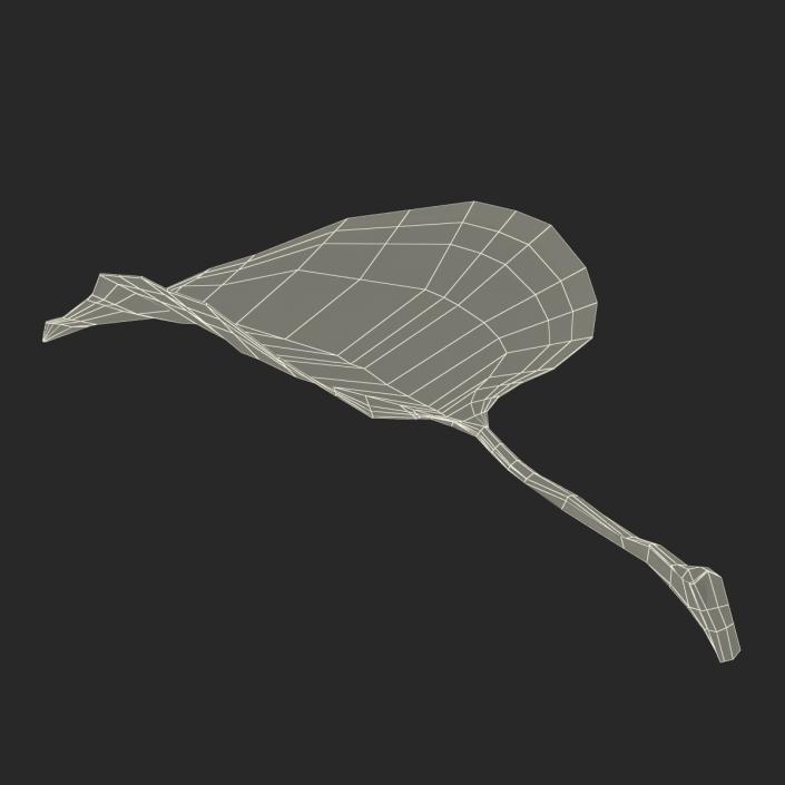 3D model Leaf 2