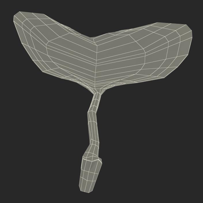 3D model Leaf 2