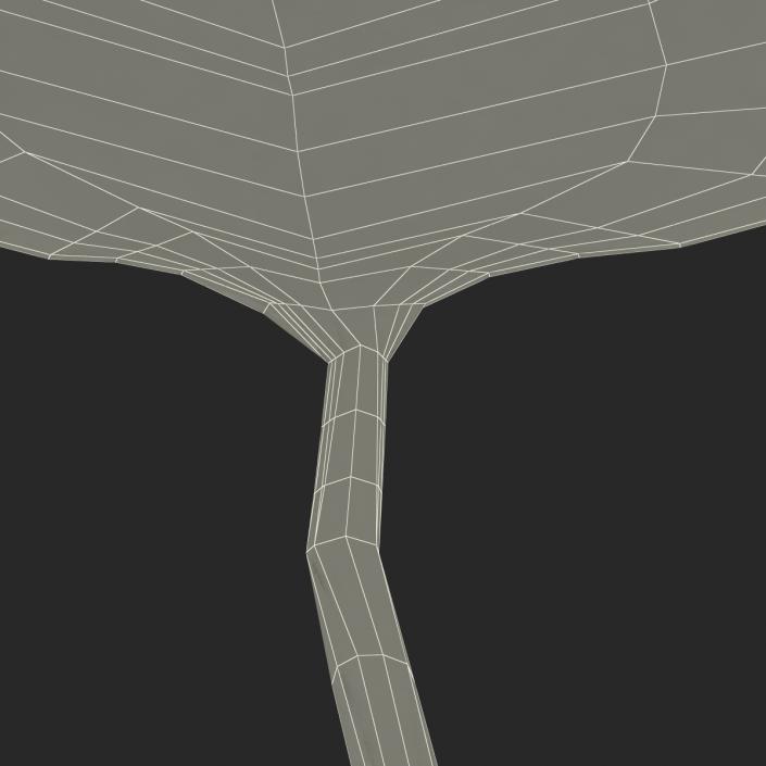 3D model Leaf 2