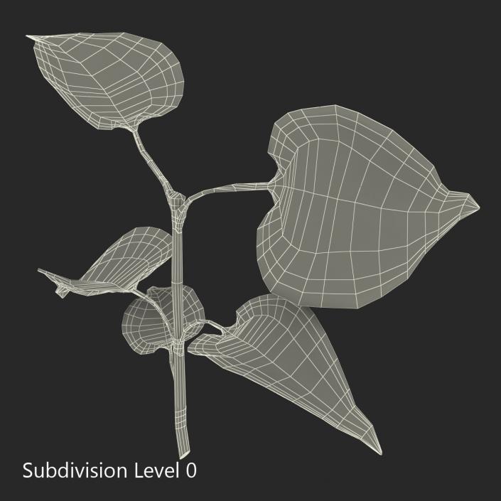 3D model Branch With Leaves 2