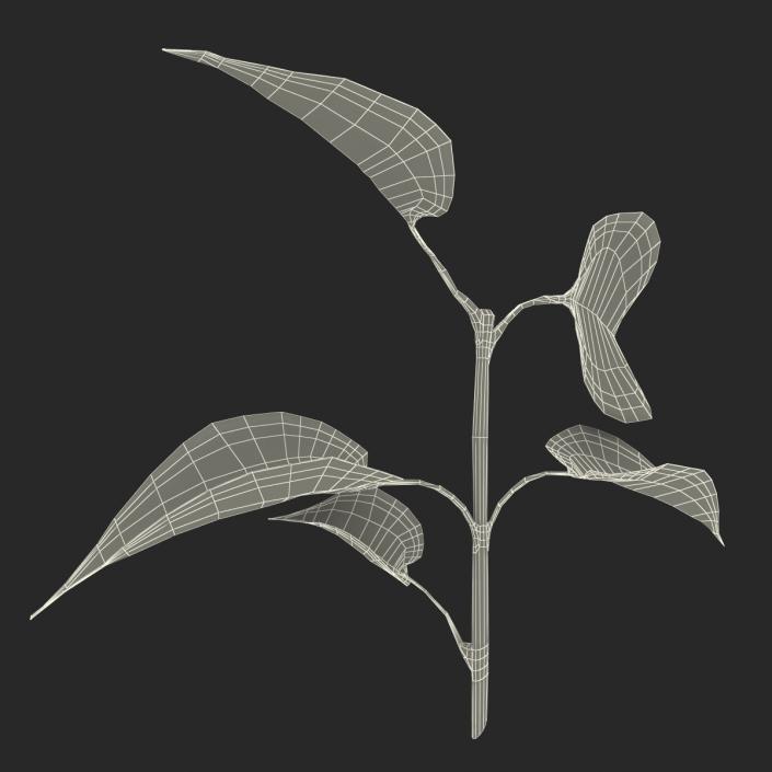 3D model Branch With Leaves 2