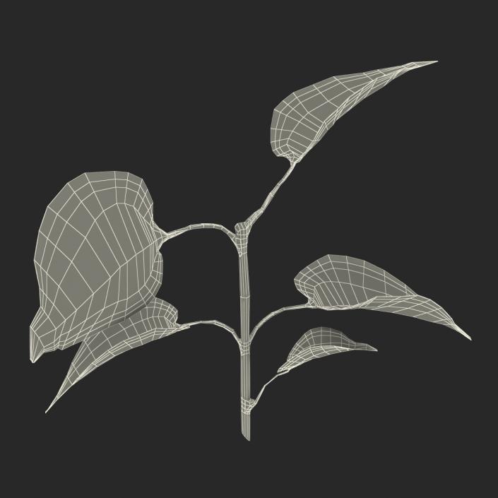 3D model Branch With Leaves 2