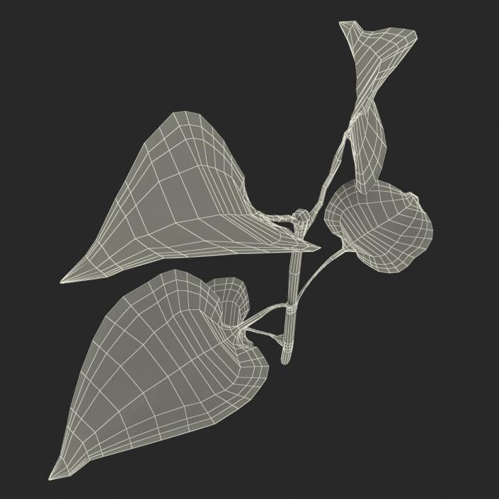 3D model Branch With Leaves 2