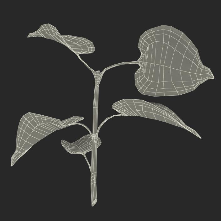 3D model Branch With Leaves 2