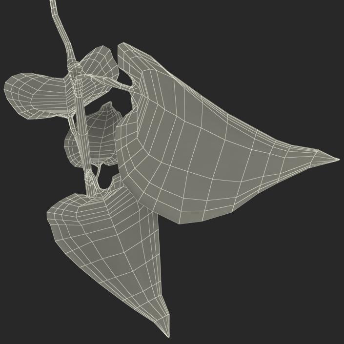 3D model Branch With Leaves 2