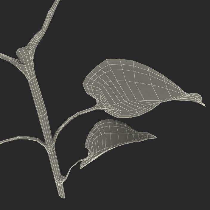 3D model Branch With Leaves 2