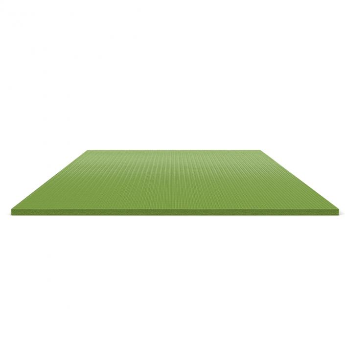 Flat Yoga Mat Green 3D model