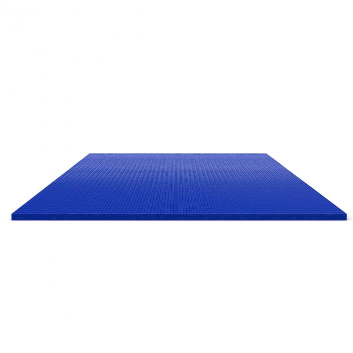 3D Flat Yoga Mat Blue model