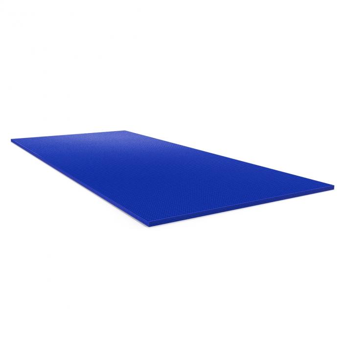 3D Flat Yoga Mat Blue model