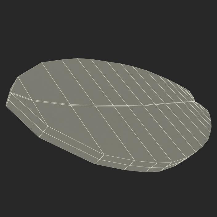 Surfboard Fish 3D model